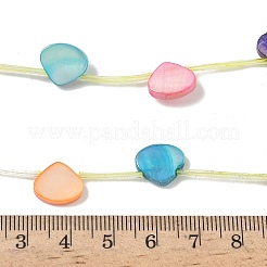 Нити бусин из натуральных пресноводных ракушек SHEL-K006-52A