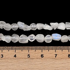 Бусины из натурального радужного лунного камня G-Q060-D12