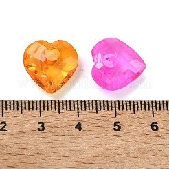 Прозрачные акриловые подвески&nbsp;OACR-Z037-11