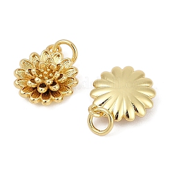 Латунь подвески&nbsp;KK-S527-12G