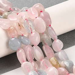 Fili di perline morganite naturale&nbsp;G-Q1004-01B