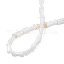 Нити бусин из натуральных пресноводных ракушек SHEL-N026-199