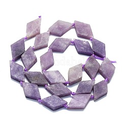 Натуральные лепидолитовые бусины G-K245-E02-02