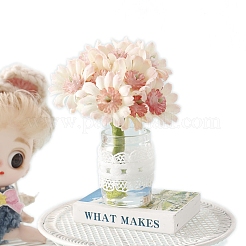 Миниатюрная хризантема в горшке PW-WGBF081-01