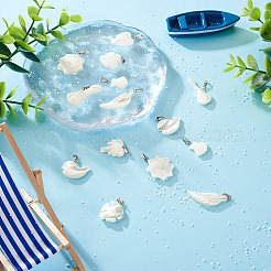 14шт 7 стиля подвески из натуральных пресноводных ракушек&nbsp;SHEL-CD0001-05