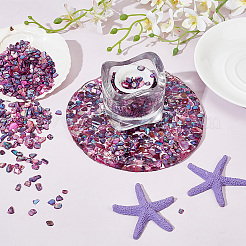 1 пакетик хлопьев раковины абалон кабошоны SHEL-GA0001-17B