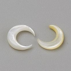 パールシェルカボションのナチュラルホワイトシェルマザー  ムーン  貝殻色  8x7.5x2mm&nbsp;SHEL-S267-02B