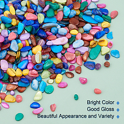 Perle di conchiglia naturale in 10 colore&nbsp;SHEL-NB0001-06