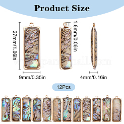 12 шт. подвески из натуральной ракушки пауа&nbsp;KK-SC0005-37