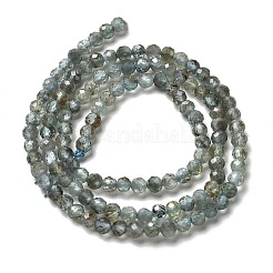 Природного апатита нитей бисера&nbsp;LS-G-RM2025-A23-3mm