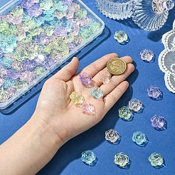 120шт 6 цвета прозрачные акриловые бусины&nbsp;OACR-YW0002-33