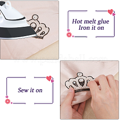 13 шт. 13-х стилистические стразы в форме короны с горячей фиксацией&nbsp;DIY-CA0005-48