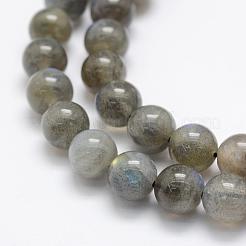 Природные лабрадорита бисер нитей G-P322-31-8mm