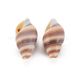 Perles de coquillage en spirale naturelle&nbsp;LS-SSHEL-T014-46