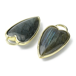 Природные подвески лабрадорита&nbsp;G-O204-02F