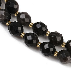 Натуральный серебристый блеск нитей обсидиана G-N342-149I-16