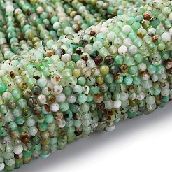 Натуральные бусины хризопраз G-RM2025-A01-M