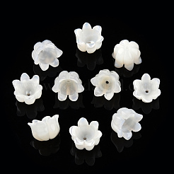 Шапочки из натуральных белых ракушек SSHEL-N032-58B