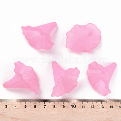 Прозрачные акриловые бусины BSF796-C10