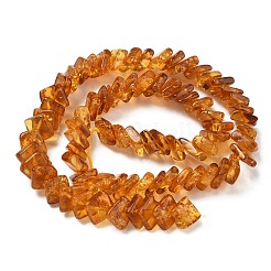 Янтарные шарики нити&nbsp;G-K376-C03-01