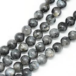 Natürliche Larvikit-Perlenstränge, Runde, 6 mm, Bohrung: 1 mm, ca. 65 Stk. / Strang, 15.7 Zoll