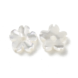 Perles de coquillage blanc naturel, fleur, 5.5~6x6x1~2mm, Trou: 0.9mm