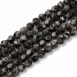 Brins de perles de larvikite naturelles, étoiles coupées perles rondes, facette, 5~6x6mm, Trou: 1mm, Environ 57~58 pcs/chapelet, 14.37 pouce (36.5 cm)
