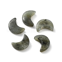 Perles naturelles de labradorite, demi-lune, 16x11~12x4~4.5mm, Trou: 1~1.2mm