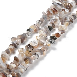 Chapelets de perles en agate naturelle du Botswana, puce, 5~15x5.5~6x2.5~4mm, Trou: 0.7mm, 30.31''~30.71'' (77~78 cm)