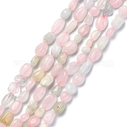 Chapelets de perles en morganite naturelle, pierre roulée, pépites, 5~12x5~7mm, Trou: 0.8mm, Environ 46~57 pcs/chapelet, 15.16 pouce (38.51 cm)