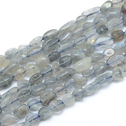 Natur Labradorit Perlen Stränge, getrommelt Stein, Nuggets, 5~12x6~7 mm, Bohrung: 0.8 mm, ca. 46~57 Stk. / Strang, 15.16 Zoll (38.5 cm)