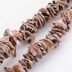 Hebras de perlas shell naturales, teñido, pepitas, camello, 10~20x8~12x3~6mm, agujero: 1 mm, alrededor de 15.7 pulgada