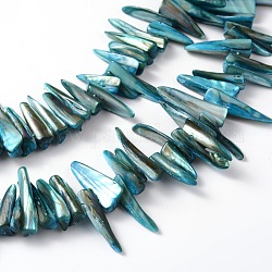 Erose Natural Shell Beads Strands, Dyed, Blue, about 20~40mm long, 4~7mm thick, 4~8mm wide, about 70pcs/strand, hole: about 1mm