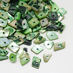 Copeaux de perles en coquille d'eau douce naturelle teinte, vert de mer foncé, 11~16x4~8x2~5mm, Trou: 1mm, environ 700 pcs/500 g