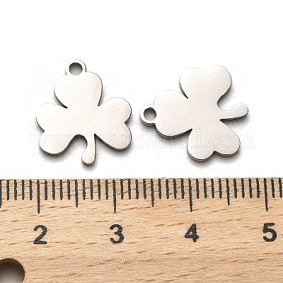 Не тускнеющие подвески из хирургической нержавеющей стали 316 STAS-H190-14P-02-1