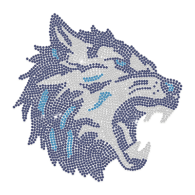 Стекла исправление горный хрусталь DIY-WH0303-307-1