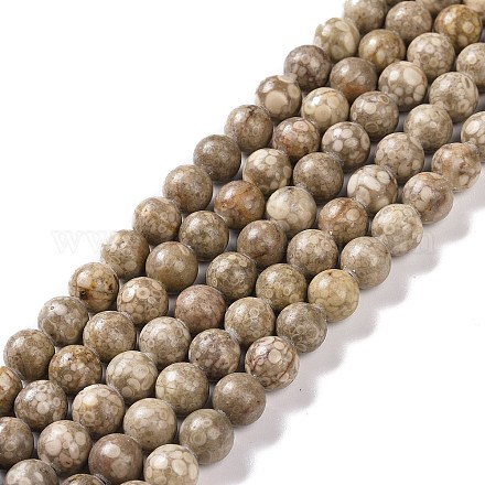 Chapelets de perles maifanite/maifan naturel pierre  G-I187-8mm-01-1