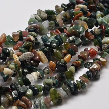 Natural Indian Agate Chip Bead Strands G-L444-02-1