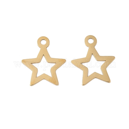 Подвески из нержавеющей стали 304 STAS-K306-06B-G-1