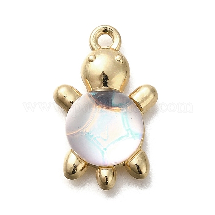 Подвески из акрилового сплава FIND-M041-03C-1