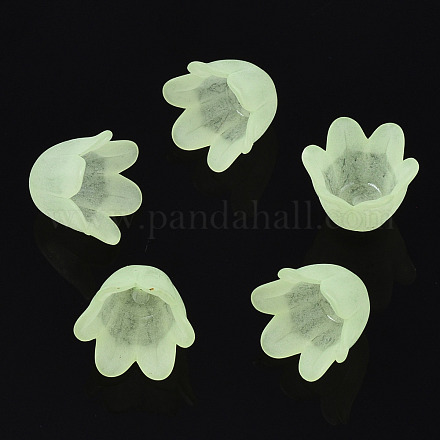 Transparentes bouchons acrylique de perles FACR-N005-002B-1
