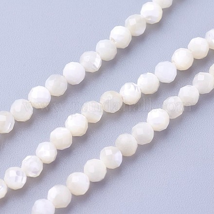 Chapelets de perles de coquillage G-F619-27-3mm-1