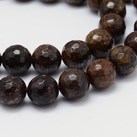 Natural Bronzite Round Beads Strands G-L284-02-10mm-1