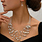 Bohemian Ethnic Style Alloy & Plastic Pearl & Glass Round Beaded Multilayer Necklaces & Dangle Earrings Sets, Platinum, White, 440mm