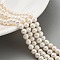 Natural Cultured Freshwater Pearl Beads Strands, Potato, Navajo White, 4~5mm, Hole: 0.6mm, about 43~44pcs/strand, 7.09 inch(18cm)