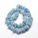 Chapelets de perles de puces aigue-marine naturelles G-E271-67-2