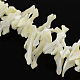 Brins de perles en forme de pépite de coquillage naturel BSHE-Q025-08-1