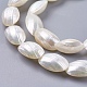 Chapelets de perles de coquille de mer BSHE-K012-02-3