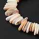 Нити бусин из натуральных ракушек SHEL-D002-01A-3
