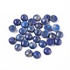 Natural Lapis Lazuli Cabochons X-G-G788-B-01-3